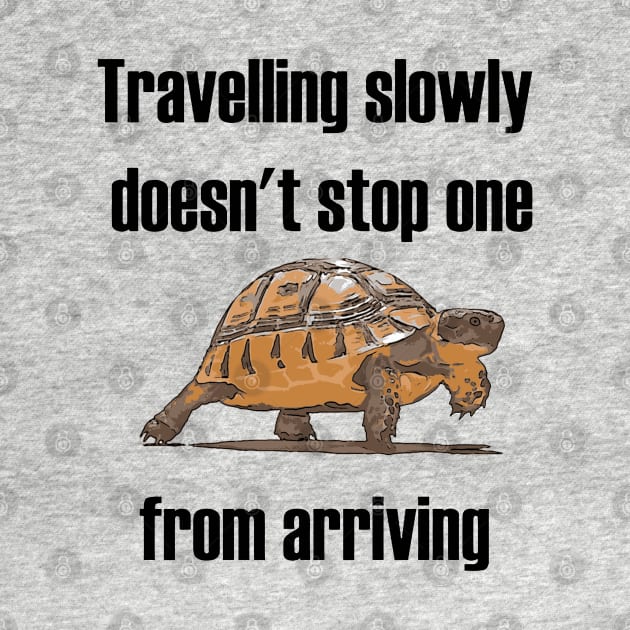 Travelling Slowly Does Not Stop You From Arriving Tortoise by taiche